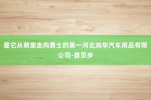 是它从萌宠走向勇士的第一河北润华汽车用品有限公司-首页步