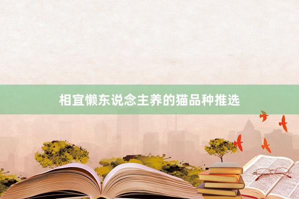 相宜懒东说念主养的猫品种推选